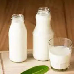 Lassi Glass(Sweet/Salt)